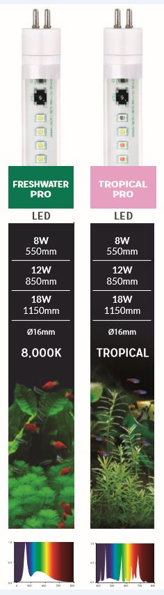 ziel Secretaris Weg huis Led verlichting: Arcadia T5 LED Freshwater Pro 18W 1047mm Juwel